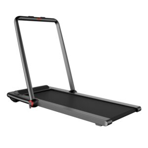 Xiaomi Kingsmith Treadmill